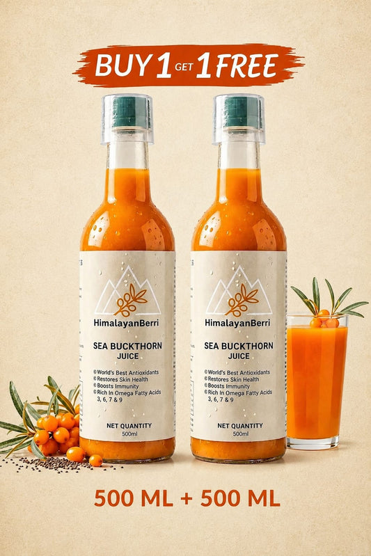 Buy 1 Get 1 Free Sea Buckthorn Juice 500ml + 500ml | Omega 3 6 7 9 Rich Superfruit | High Vitamin C | Immunity Booster | Skin & Hair Health Drink