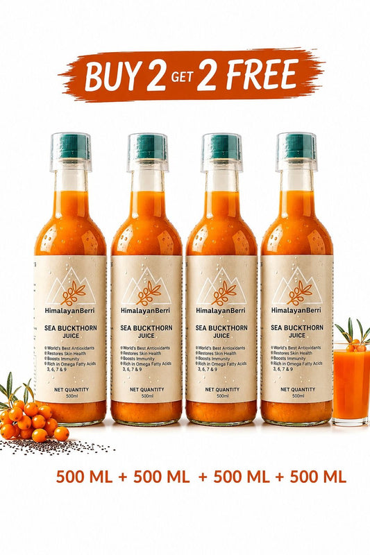 Buy 2 Get 2 Free Sea Buckthorn Juice 1000ml + 1000ml | Omega 3 6 7 9 Rich Superfruit | High Vitamin C | Immunity Booster | Skin & Hair Health Drink