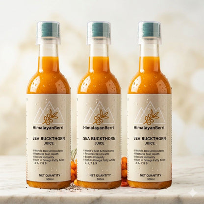 Pack of 3 | 100% Natural Himalayan Sea Buckthorn Pulp Pure Superfood for Immunity, Skin & Daily Wellness