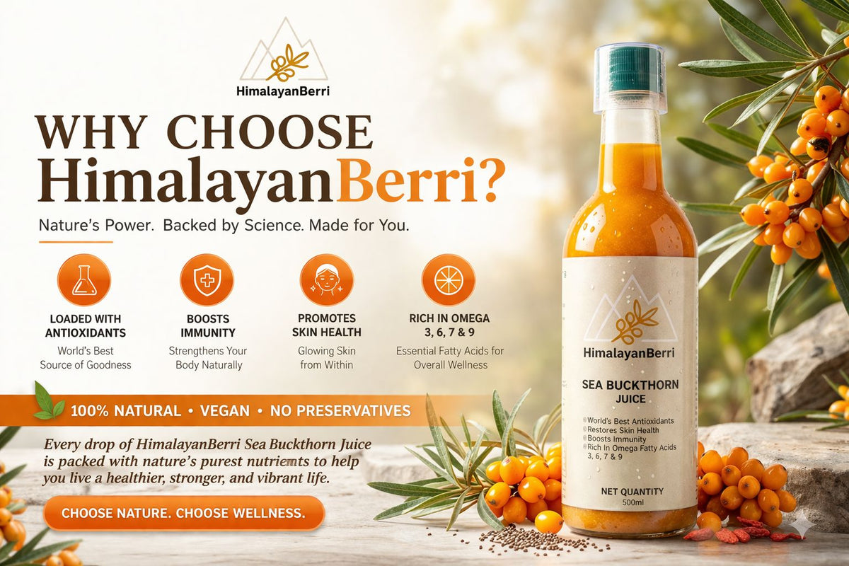 Pack of 6 | 100% Natural Himalayan Sea Buckthorn Pulp Pure Superfood for Immunity, Skin & Daily Wellness