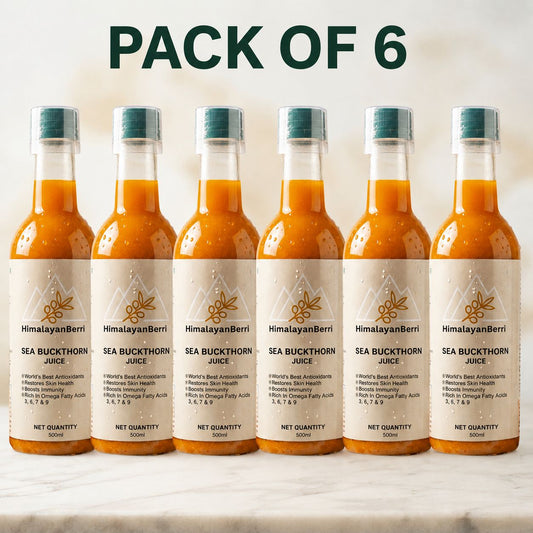 Pack of 6 | 100% Natural Himalayan Sea Buckthorn Pulp Pure Superfood for Immunity, Skin & Daily Wellness