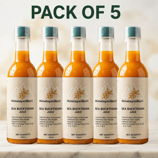Pack of 5 100% Natural Himalayan Sea Buckthorn Pulp Pure Superfood for Immunity, Skin & Daily Wellness