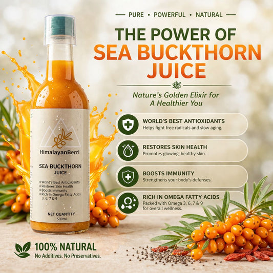 100% Natural Himalayan Sea Buckthorn Pulp Pure Superfood for Immunity, Skin & Daily Wellness